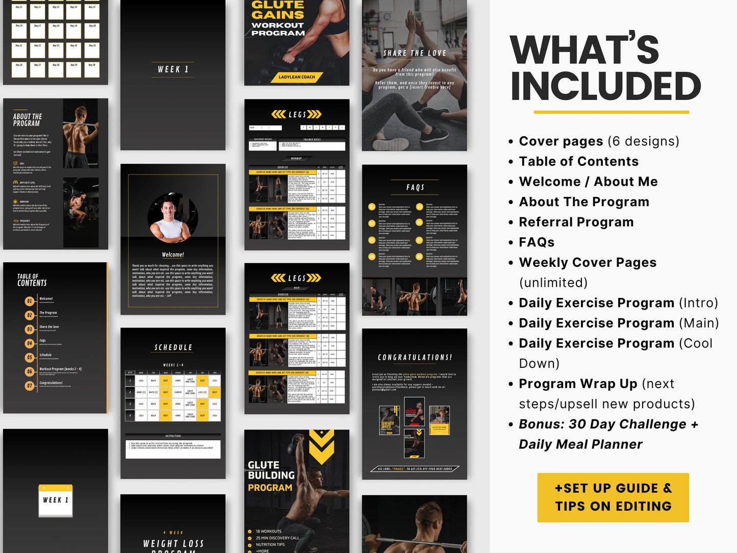 Customizable Personal Trainer Program PDF Templates - Fitness E-Book, Client Workout Plans, and Exercise Builder – Fully Tailorable to Your Brand