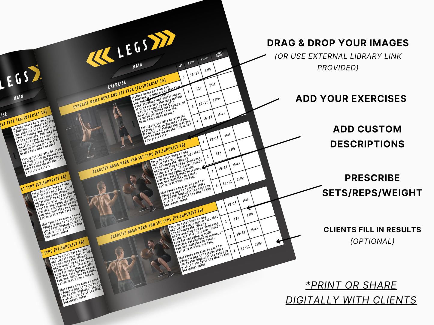 Customizable Personal Trainer Program PDF Templates - Fitness E-Book, Client Workout Plans, and Exercise Builder – Fully Tailorable to Your Brand